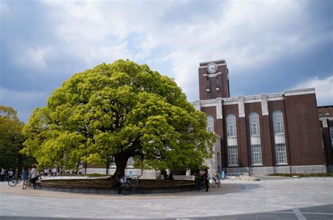 京都 修学旅行 旅館 ランキング ～なぜかカエルが人気の秘密～