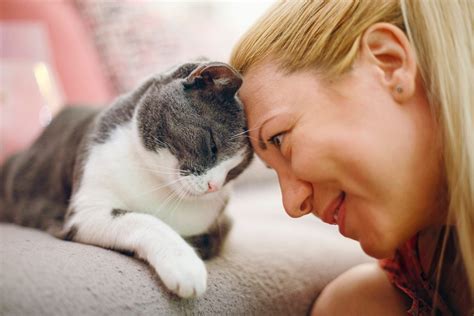 名古屋 一人旅 女 そして、なぜか突然現れた謎の猫